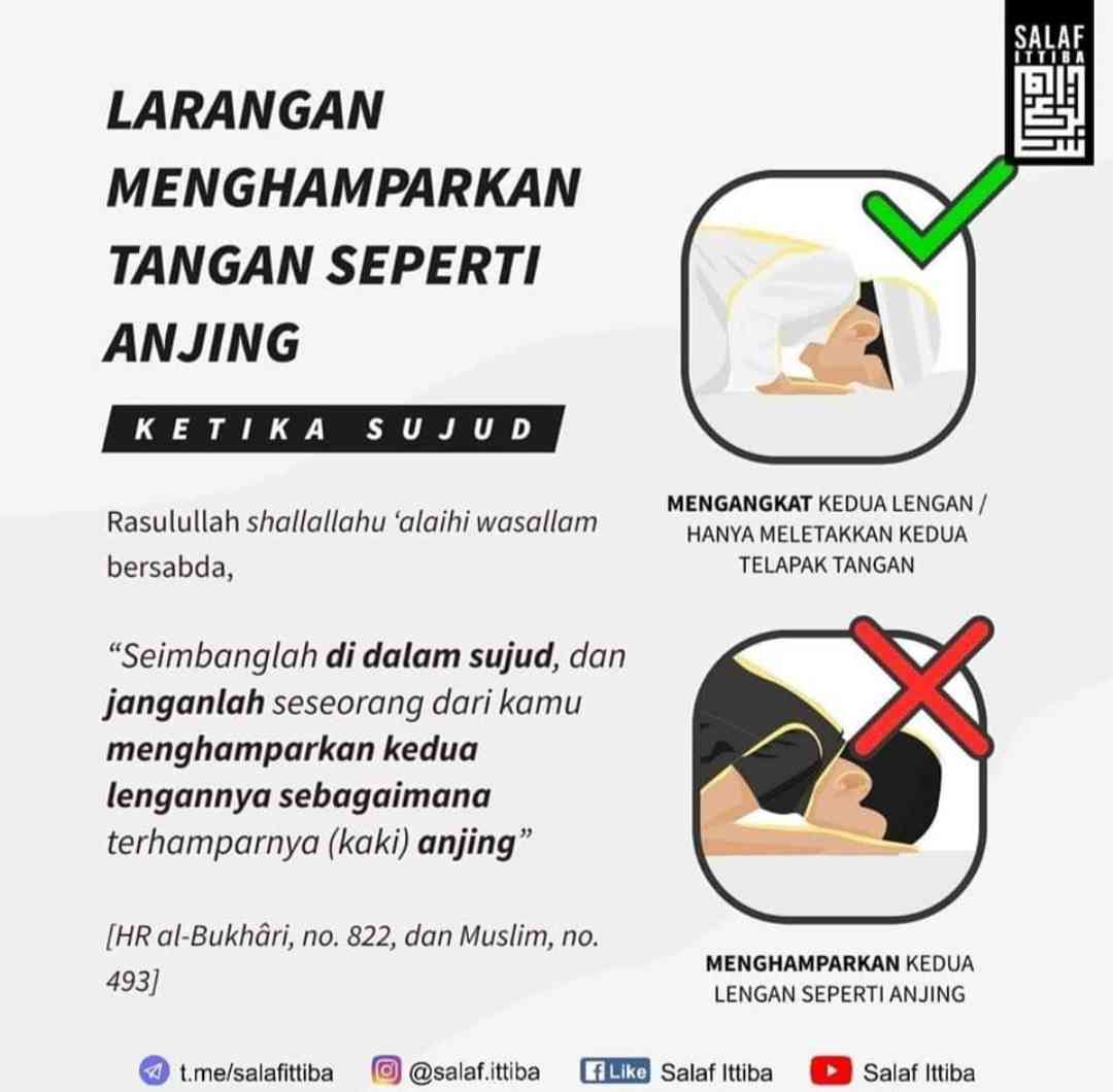 Dalil-dalil Larangan Menyerupai Hewan Ketika Shalat