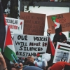 Gencatan Senjata di Gaza: Sebuah Tinjauan Hukum Atas Resolusi DK PBB