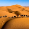 Rumah di Atas Pasir: Adaptasi Kehidupan di Gurun Sahara