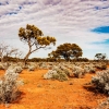 Tanah Australia Akan Jadi Penghasil Karbon Dioksida, Imbas Perubahan Iklim