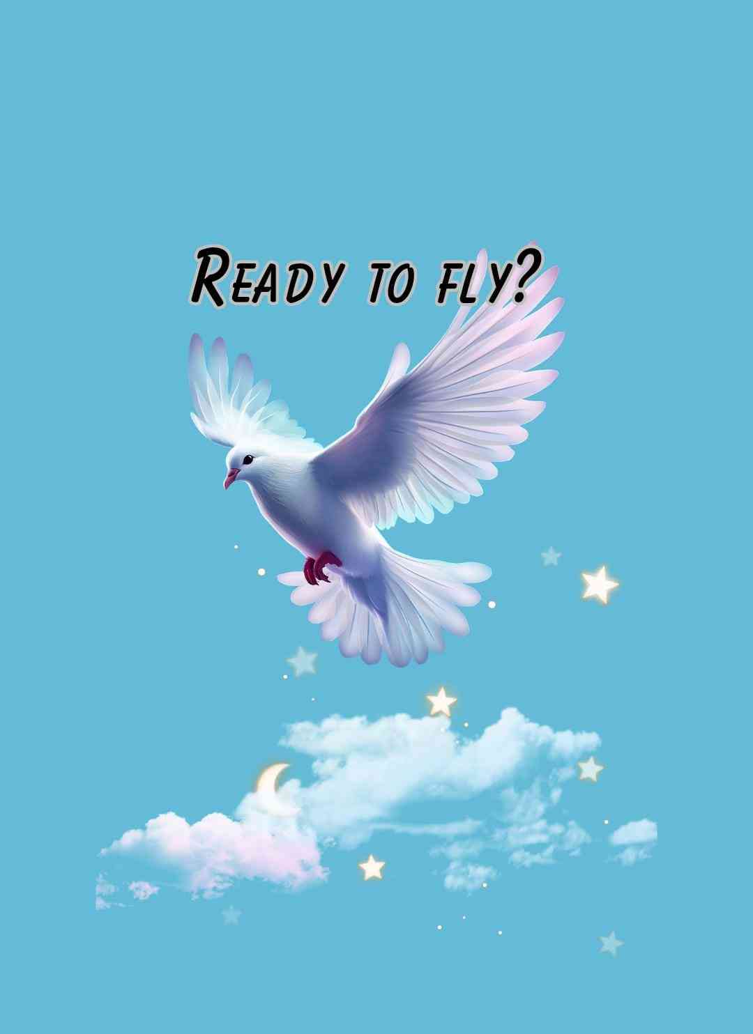 Ready To Fly?