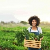 Peran Perempuan dalam Pembangunan Pertanian dan Peningkatan Kesejahteraan Petani
