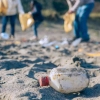 The Power of Citizen Science to Tackle Microplastic Pollution