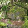 Misteri Tembok Kaimanawa: Warisan Prasejarah di Selandia Baru