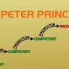 Peter Principle - Manajemen SDM #1