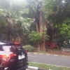 Taman Lansia Kota Bandung, Kini Semakin Hijau dan Sejuk