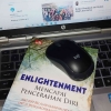 Resensi Buku: "Enlightenment, Mencapai Pencerahan Diri" oleh Tjiptadinata Effendi