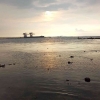 Seperti Pantai Mati, Melihat Kondisi Kerusakan Lingkungan di Belakang PT Krakatau Posco
