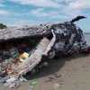 Google Doodle Hari Ini, Mewakili Harapan dan Kecemasan Kita Tentang Planet vs Plastik!