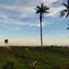Keindahan Baru di Sukabumi: Sunset Pantai Pandan Ujung Genteng