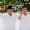 Prabowo Sah sebagai Presiden Versi KPU: Membaca Prospek dan Janji Kampanye