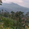 Menikmati Panorama Hijau di Cimenyan Bandung Jawa Barat