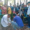 Menelisik Aksi Menanam Pohon Sakramen Jelang Sambut Baru di Kampung