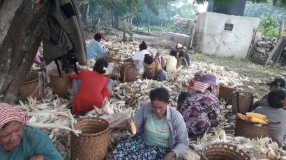 Mempertahankan Kearifan Lokal: Tradisi Gotong Royong di Poliwu Moa, Maluku Barat Daya