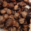 Black Garlic, Si Manis Asam dengan Segudang Manfaat Kesehatan