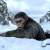 Review Film "Kingdom of the Planet of the Apes": Epik, Emosional, dan Menggunggah