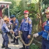 Praktik Baik Mencegah Ular Masuk Permukiman Warga