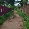 Luka yang Tersembunyi