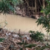 Senandung Pilu Sungai Angkinang