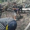 "Mardang" dalam Sistem Pertanian Tradisional Pakpak di Tengah Krisis Ketahanan Pangan Modern
