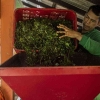 Kunci Ekonomi Sirkular Sampah Jakarta Ada di Pemilahan Warga