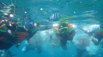 Wisata Belitung 2 Naik Puncak Mercusuar Hingga Tanam Wisata Belitung 2 Naik Puncak Mercusuar Hingga Tanam