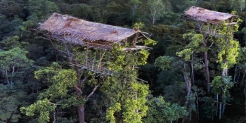 101 Gambar Alam Papua Paling Hist 101 Gambar Alam Papua Paling Hist