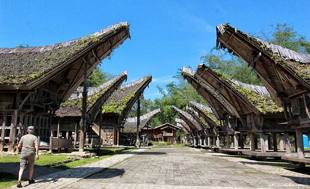 Tongkonan Rahim Masyarakat Toraja Kompasiana com Tongkonan Rahim Masyarakat Toraja Kompasiana com