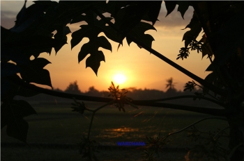 Download Gratis Gambar Cerita Foto Menikmati Lahirnya Mentari Di Bulan Ramadhan Halaman Terbaru oleh Cikimm.com