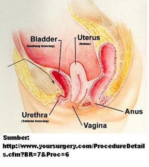 Yalangoch ogil bolalarning shaxsiy fotosuratlari BBW anal pornosini onlayn tomosha qiling