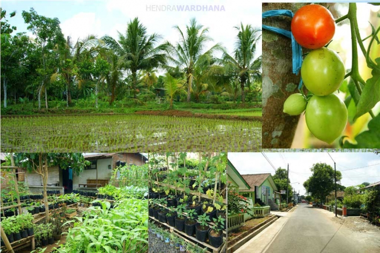 Melihat Desa Terbaik di Jawa Tengah dan Caranya Menopang  Melihat Desa Terbaik di Jawa Tengah dan Caranya Menopang