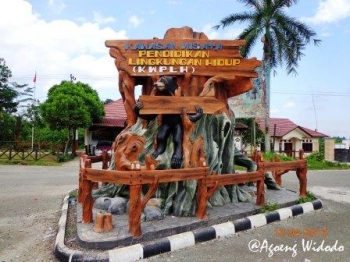 Mengenal Lebih Dekat Beruang Madu Di Kwplh Balikpapan Mengenal Lebih Dekat Beruang Madu Di Kwplh Balikpapan