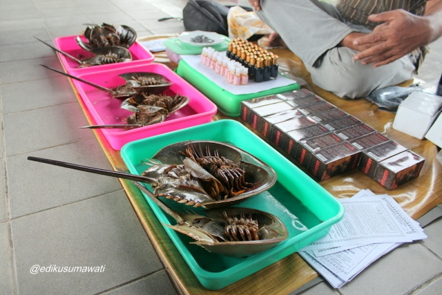 Mimi dan Mintuno Romeo Juliet Versi Binatang oleh Edi Mimi dan Mintuno Romeo Juliet Versi Binatang oleh Edi