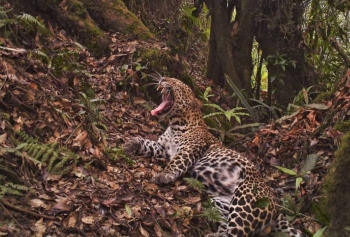 Daerah Perlindungan Terhadap Hewan Liar Dan Habitatnya Daerah Perlindungan Terhadap Hewan Liar Dan Habitatnya