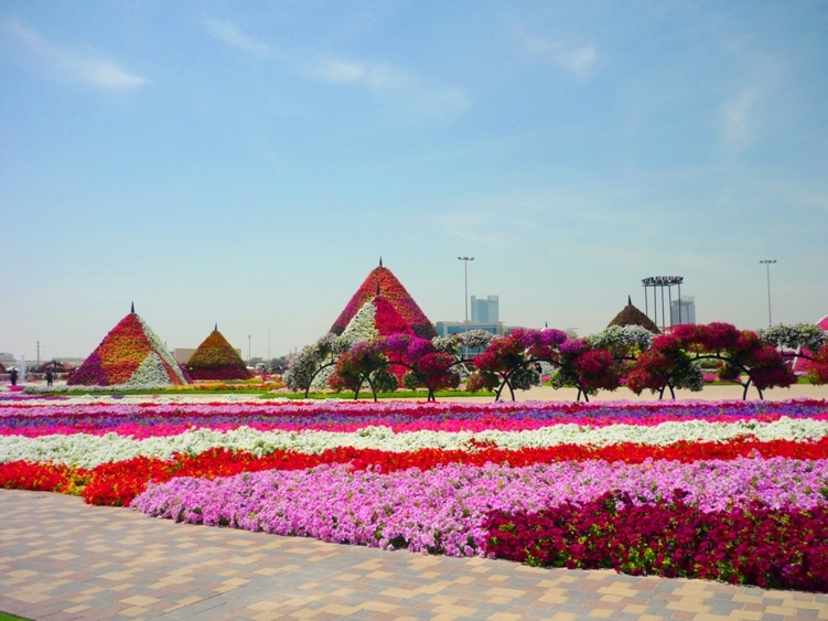 Dubai  Miracle Garden Pesona Taman  Bunga  di  Tengah Gurun   Dubai  Miracle Garden Pesona Taman  Bunga  di  Tengah Gurun