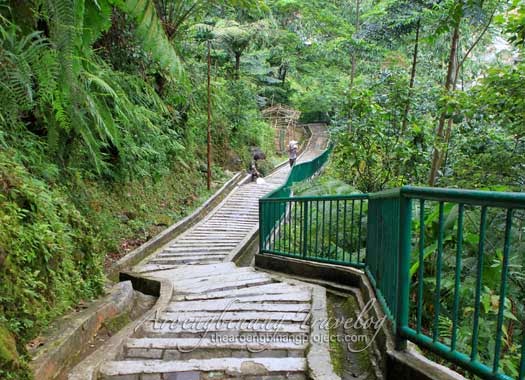 Tempat wisata di bogor yang indah dan bagus