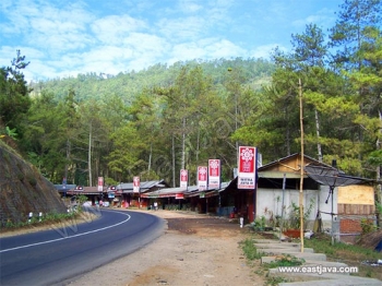 Wisata Travelling Wisata Kuliner Di Payung Memang Asik Wisata Travelling Wisata Kuliner Di Payung Memang Asik