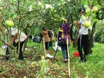 4 Agrowisata Ini Wajib Dikunjungi Saat Berlibur Di Malang 4 Agrowisata Ini Wajib Dikunjungi Saat Berlibur Di Malang