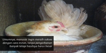 18+ Gambar Lucu Makan Sama Ayam - Kumpulan Gambar Lucu
