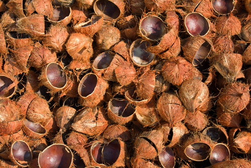 Agar Batok Kelapa Tak Jadi Sampah Kompasiana com