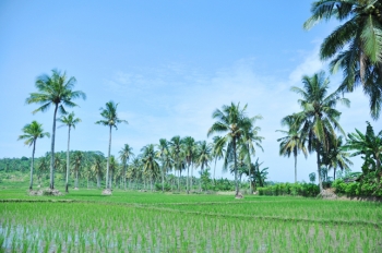 71 Gambar Alam Nan Indah HD 71 Gambar Alam Nan Indah HD