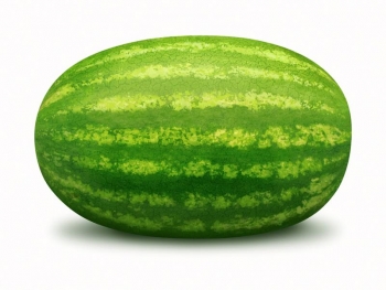 Semangka Dan Kelapa Kompasiana Com Semangka Dan Kelapa Kompasiana Com