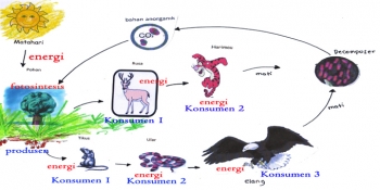 Kesombongan Harimau Dan Elang Kompasiana Com Kesombongan Harimau Dan Elang Kompasiana Com