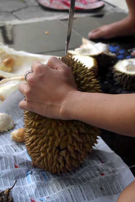 Ketika Musim Durian Tiba