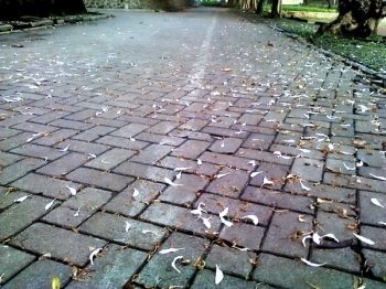 Download 4500 Gambar Animasi Anak Membuang Sampah Pada Tempatnya Paling Baru Download 4500 Gambar Animasi Anak Membuang Sampah Pada Tempatnya Paling Baru