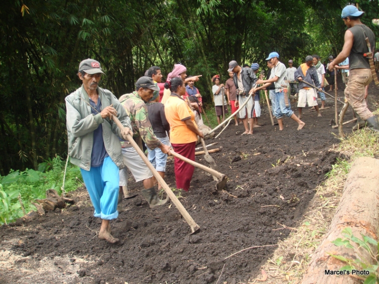 Spirit Kerja Sama Mengolah Tanah Dari Masyarakat Adat Bajawa