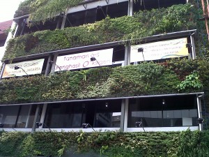 Vertical Garden