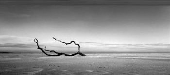 Menyihir Diri Sendiri Menangkap Kata Kata Mereka Menyihir Diri Sendiri Menangkap Kata Kata Mereka