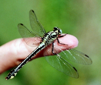 Related image