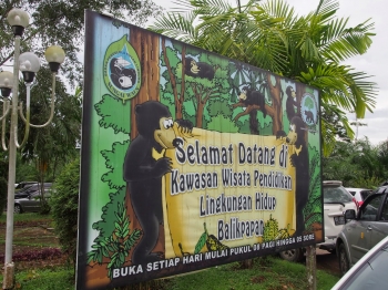 Wisata Beruang Madu Di Balikpapan Kalimantan Timur Halaman Wisata Beruang Madu Di Balikpapan Kalimantan Timur Halaman